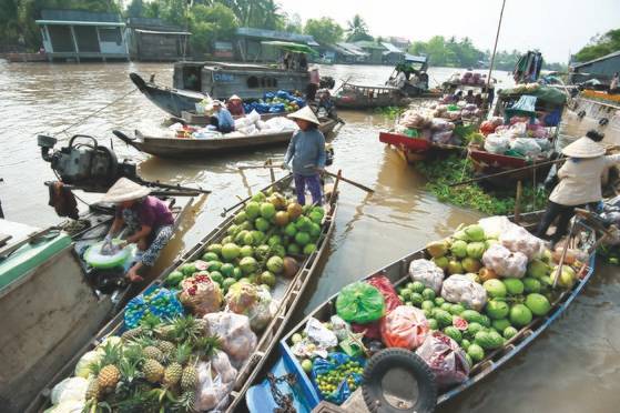 베트남 남부 메콩강 하구에 자리한 도시 껀떠는 수상시장이 유명하다. [사진 비엣젯항공]