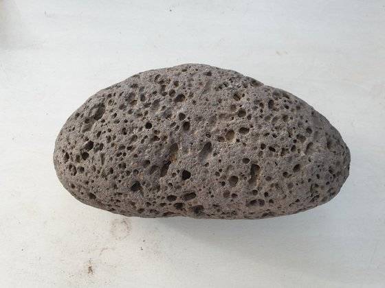 경기도 연천군 중면 마거리 민통선 내 고인돌 집단지에서 발견된 청동기 시대 '연석'. 전익진 기자