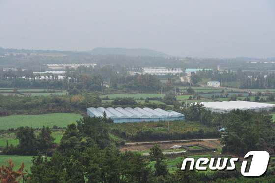 제주 제2공항 건설 예정지인 서귀포시 성산읍 신산리 전경. 2015.11.10/뉴스1 © News1