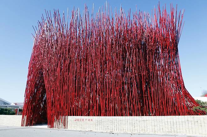 젊은달와이파크의 강렬한 첫인상 '붉은대나무'