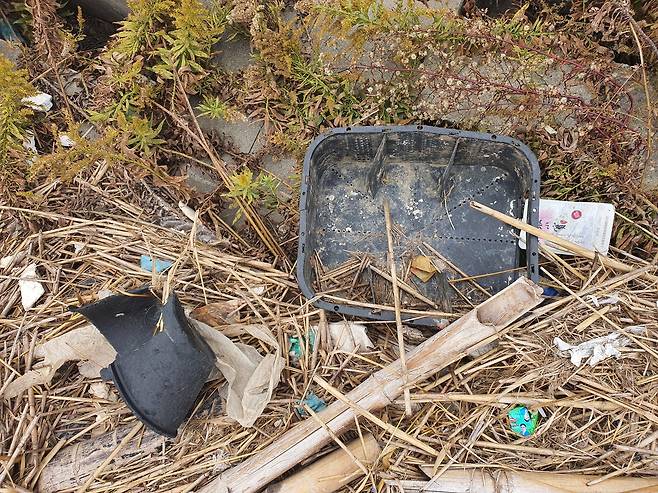 지난달 25일 상하이 인근 양쯔강 하구 난후이의 강변에서 찾은 쓰레기들. 진창일 기자