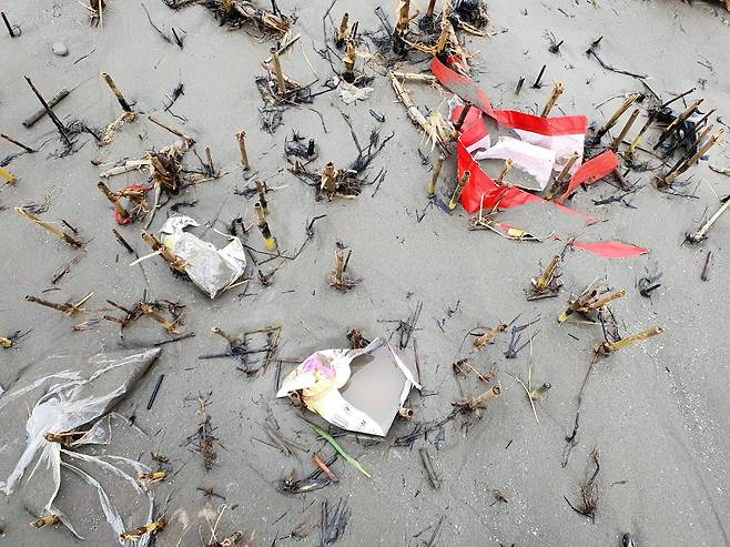 지난달 25일 중국 상하이 양쯔강 하구 난후이 지역 강변에 밀려든 쓰레기들. 진창일 기자