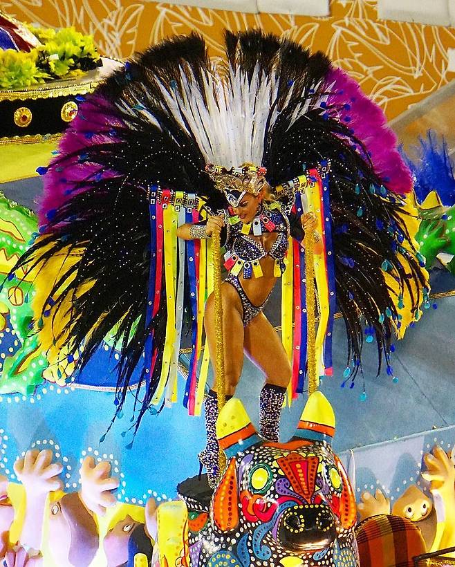 리우 카니발 /사진=위키커먼스