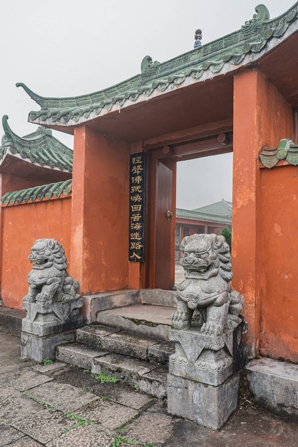 절 앞을 지키는 사자상