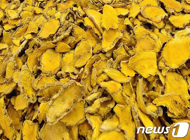 울금 자료사진 © 뉴스1