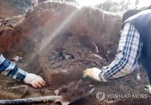 '5·18 역사현장'서 발굴한 유골 (광주=연합뉴스) 정회성 기자 = 법무부는 옛 광주교도소 무연고자 공동묘지 일원을 발굴하는 과정에서 5·18 민주화운동과 관련성이 있어 보이는 유골 40여기를 발견했다고 20일 밝혔다. 법무부는 옛 광주교도소에 솔로몬로파크를 조성 중인데 1980년 항쟁 당시 행방불명된 5·18 희생자 다수가 교도소에 암매장됐다는 증언이 나온다. 사진은 전날 작업 과정에서 발견된 유골의 모습. 2019.12.20 [5·18부상자회 제공 영상 캡처. 재판매 및 DB 금지] hs@yna.co.kr