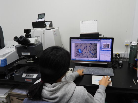 한국해양과학기술원 남해연구소 연구원이 현미경 등의 장비를 이용해 미세플라스틱을 분석하고 있다. 강찬수 기자