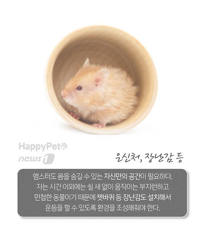 © 뉴스1
