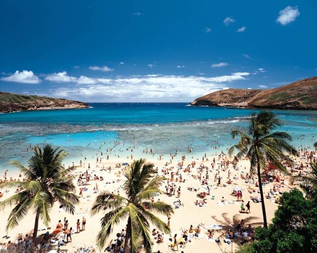 하와이 해변/사진=뉴스1