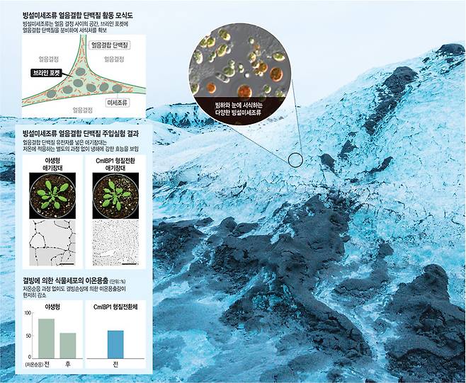 그래픽 = 송재우 기자