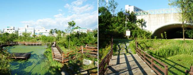 충북 청주 원흥이방죽 풍경. [청주시청 제공]