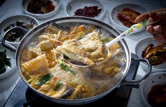 전북 군산에서는 바람에 꾸덕구덕하게 말린 물메기를 끓여 먹는다. 감칠맛이 강하다. [중앙포토]