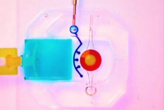 인체의 각막과 결막 세포를 칩 속에 배양한 '안구 칩' [사진=유튜브 화면캡처]
