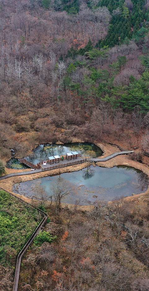 전북 고창의 운곡습지 한쪽에 만들어놓은 작은 연못. 운곡습지는 영광원전의 발전용수 공급을 위해 물을 막아 저수지를 만드는 과정에서 수몰된 마을과 논밭이 빠르게 자연으로 되돌아가 습지가 된 곳이다. 신록이 물드는 봄의 습지 풍경이 가장 아름답다지만, 겨울에도 나름의 정취가 있다.