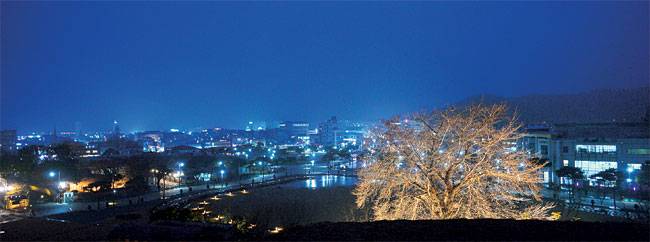전북 고창의 상징과도 같은 곳이 고창읍성이다. 읍성에서 내려다본 고창읍의 야경. 조명을 받은 느티나무가 불 켜진 전구처럼 화려하다. 전북의 생태관광지로 다듬어지고 있는 고창에도, 정읍에도 이름난 명소가 많다.