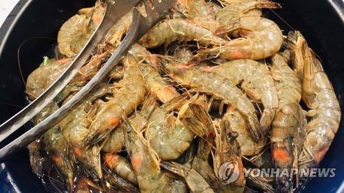 새우 사진 이미지는 관련 기사와 관계 없습니다.[연합뉴스 자료사진. 재판매 및 DB 금지]