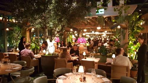 각종 나무와 식물로 실내를 꾸민 '포틴 힐스' (런던=연합뉴스) 박대한 특파원 = 지난해 말 런던 금융 중심가에 문을 연 '포틴 힐스'(14 Hills)는 '모던 브리티시' 식당이다. 2천200 그루의 나무와 식물로 실내를 장식했다. 2020.1.19 pdhis959@yna.co.kr