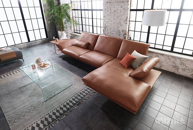 사진 : 도무스디자인(DOMUS design), 코이노 프란시스 코냑