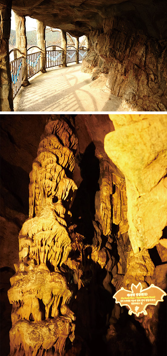 성류굴 가는 길, 성류굴 내부. 지진으로 갈라진 석주, 탑 모양처럼 생긴 ‘탑실’, ‘청사초롱’으로 이름 붙여진 공간도 있다.