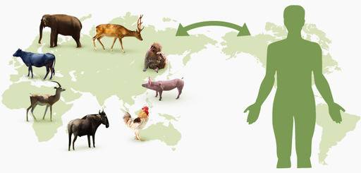 출처=www.czc.hokudai.ac.jp