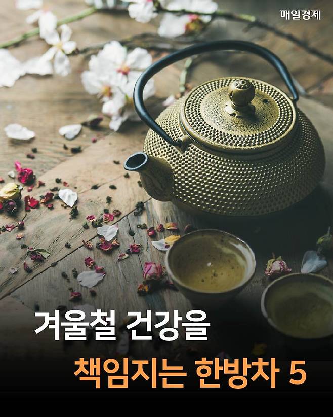[카드뉴스] 겨울철 건강을 책임지는 한방차 5