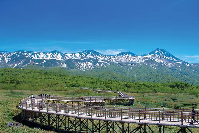 불곰이 올라오지 못하도록 높게 조성된 시레토코국립공원 탐방로.