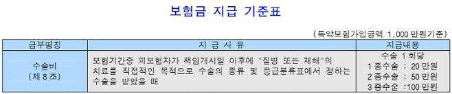 [자료 제공 = 보험사 보험약관 캡처]