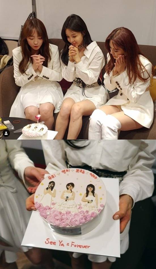 씨야가 '슈가맨3'에 출연한 이후 이들의 재결합을 염원하는 팬들의 목소리가 커지고 있다. 멤버들은 팬들의 변치 않은 사랑에 고마운 마음을 전했다. /이보람 남규리 SNS