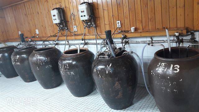 신평양조장 발효실의 수십 년 된 옹기(항아리)에서 막걸리가 익고 있다.
