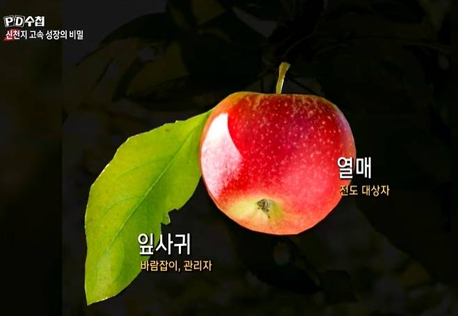 MBC 'PD수첩'에서 방송된 '코로나19와 신천지 2부-신천지 고속성장의 비밀' 방송화면 갈무리 © 뉴스1