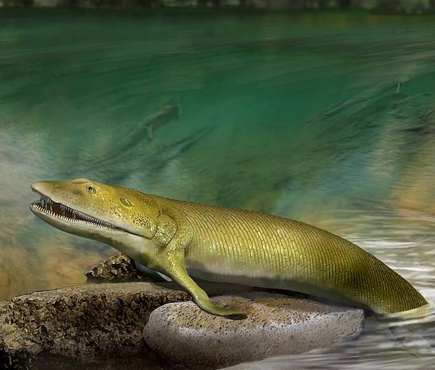 물고기 지느러미가 손으로 진화…최초 증거 발견(사진=존 롱/호주 플린더스대 제공)