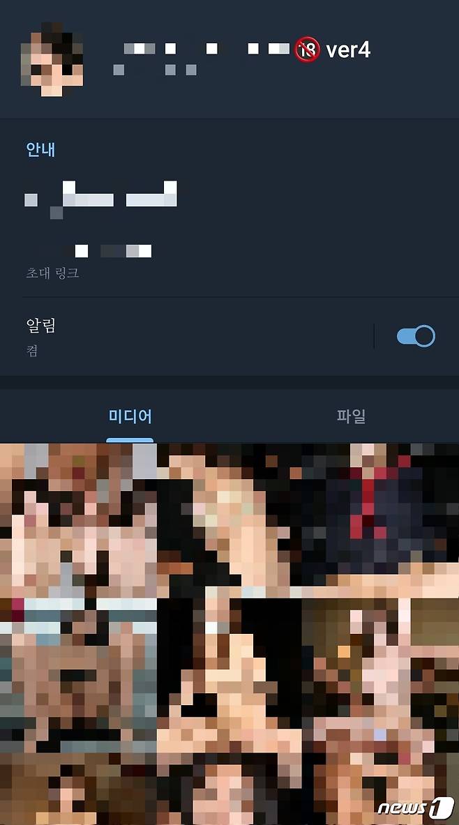 텔레그램 상 여성 아이돌 딥페이크 사진 리스트 © 뉴스1 황덕현 기자