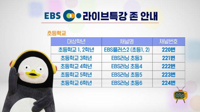 KT스카이라이프 EBS 라이브특강 존(초등학교) 안내 이미지.ⓒKT스카이라이프