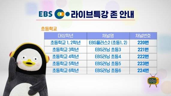 KT스카이라이프 EBS 라이브특강 존 안내 이미지. KT스카이라이프 제공
