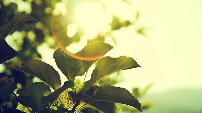 '코로나 트라우마'에 갇히지 않도록, 준비를 해야 할 때.