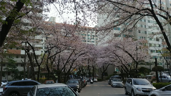 서울 강동구 명일동 삼익그린2차 전경 [매경DB]