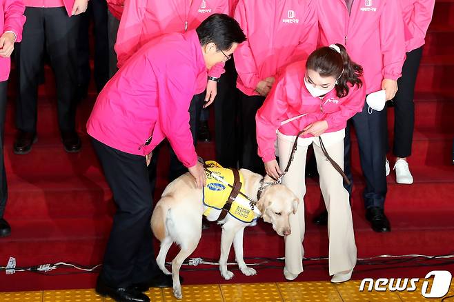 황교안 전 미래통합당 대표가 지난 1일 서울 여의도 국회 로텐더홀 계단앞에서 김예지 미래한국당 당선인의 안내견 '조이'를 쓰다듬고 있고 있는 모습. 2020.4.1/뉴스1 © News1 임세영 기자