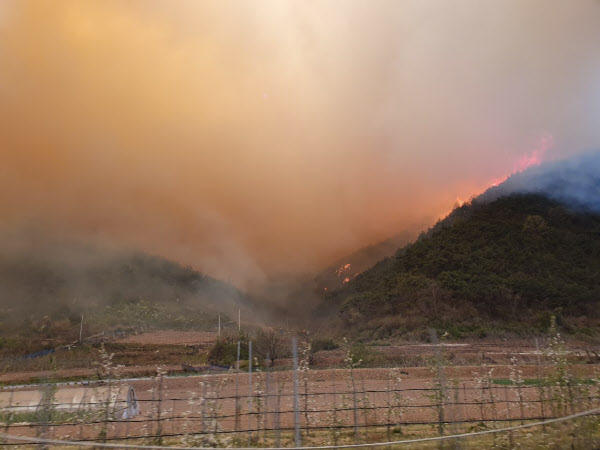 안동 풍천면 인금리 야산에 발생한 산불 /독자제공