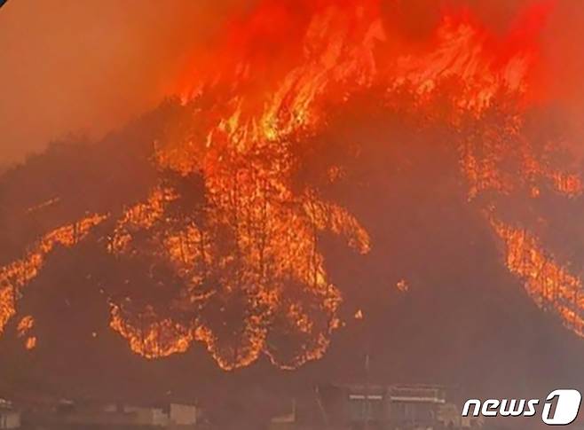25일 오후 경북 안동시 풍천면 인금리에서 발생한 산불이 산 아래 농촌마을까지 확산되고 있다. 안동시는 단호1, 2리와 고하리 등 4개 마을 주민들에게 대피령을 내렸다. (독자제공) 2020.4.25/뉴스1 © News1 최창호 기자