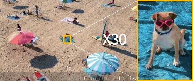 삼성전자의 갤럭시 S20 울트라의 망원 카메라를 사용하면 최대 100배 디지털 줌이 가능하다. 사진은 해변의 강아지를 30배 확대한 모습이다. 삼성전자 제공