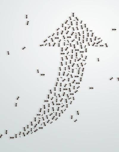 사진=게티이미지뱅크