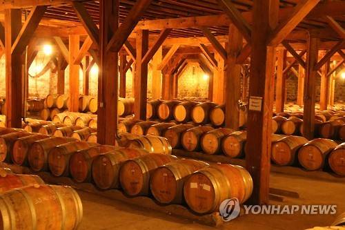 칠레 산티아고 와이너리 [촬영 김지헌·재판매 및 DB 금지]