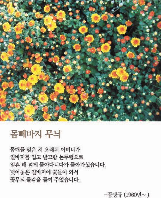 사진과 시가 만난 디카시가 인기다. 단행본 『세상에 하나뿐인 디카시』(북투데이)에 실린 작품들.