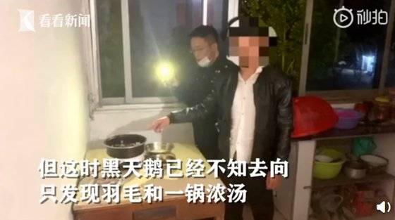 중국 진화시 푸장현에 사는 우씨는 호수의 블랙 스완을 몰래 잡아먹었다가 경찰에 붙들렸다. 코로나 사태 이후 야생동물을 먹지 말자며 법제화를 추진중인 중국 당국의 노력이 무색하다. [중국 환구망 캡처]