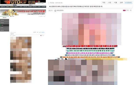 토토플레이에 올라와있던 음란물(왼쪽)과 불법 성매매업체 홍보글