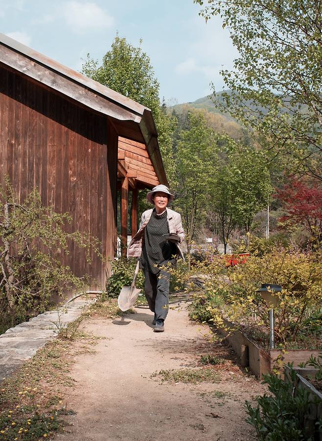 조경가 정영선씨의 집 정원에는 쉽게 보기 어려운 한국의 토종 풀꽃이 많다. 조경설계일을 하며 현장에 맞는 풀꽃을 구하기 어려울 때는 정씨의 정원에서 공수할 때도 많다. 정씨는 매일 새벽 3시간씩 직접 정원을 관리한다. 장은교 기자.