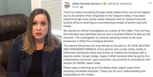 '휴메인 소사이어티' 직원 크리스틴 셸라스 씨. (사진='Idaho News 6' 유튜브)