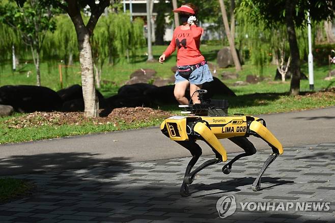 싱가포르 코로나19 거리 두기 안내 로봇 [AFP=연합뉴스]