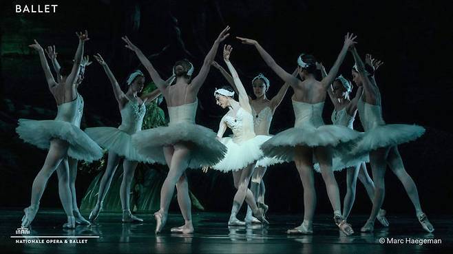 발레 '백조의 호수' (사진=네덜란드 국립발레단 페이스북)