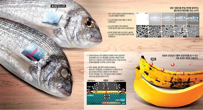 그래픽 = 송재우 기자